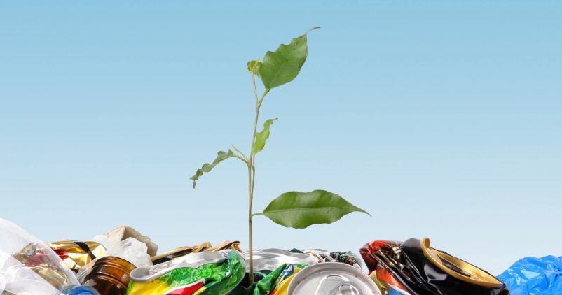 Nowe zasady segregacji śmieci. Czy uda się spełnić unijne wymagania odnośnie poziomu recyklingu do 2020 roku?